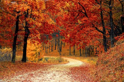 Horoscop special: Horoscopul TOAMNEI 2026. Ce aduce zodiilor un sezon intens astral?