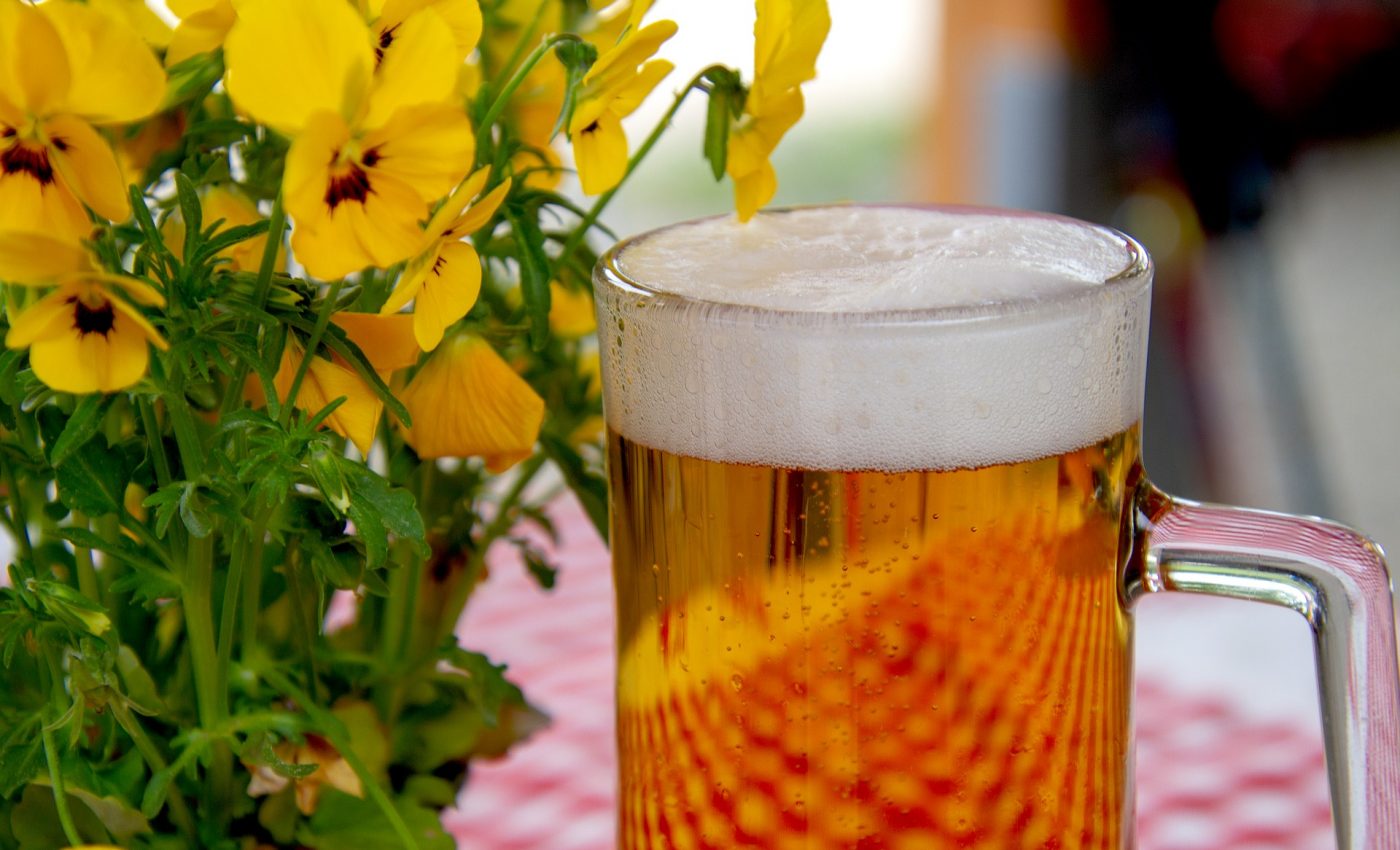 Dieta cu bere te ajuta sa scapi de pana la 8 kg intr-o luna - ed-engineering.ro