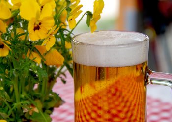 dieta cu bere - sfatulparintilor.ro - pixabay_com - beer-3378136_1920