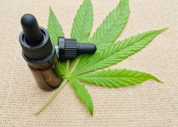 Ce boli vindeca canabisul - sfatulparintilor.ro - pixabay-com - cannabis-5748860_1920