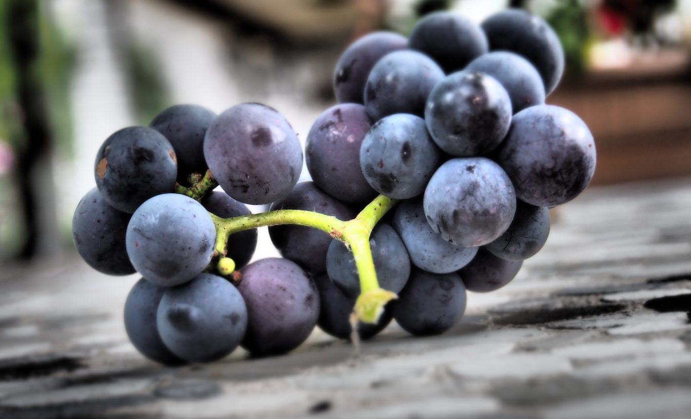 Beneficiile strugurilor negri - sfatulparintilor.ro - pixabay_com - grapes-5518970_1920