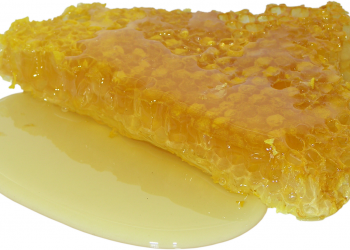 beneficiile fagurelui de miere - sfatulparintilor.ro - pixabay_com - honey-2201210_1920