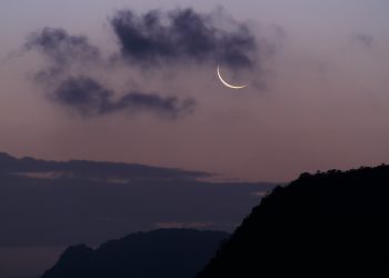 tarot luna noua in pesti - sfatulparintilor.ro - pexels_com - pexels-vladyslav-dushenkovsky-4100130