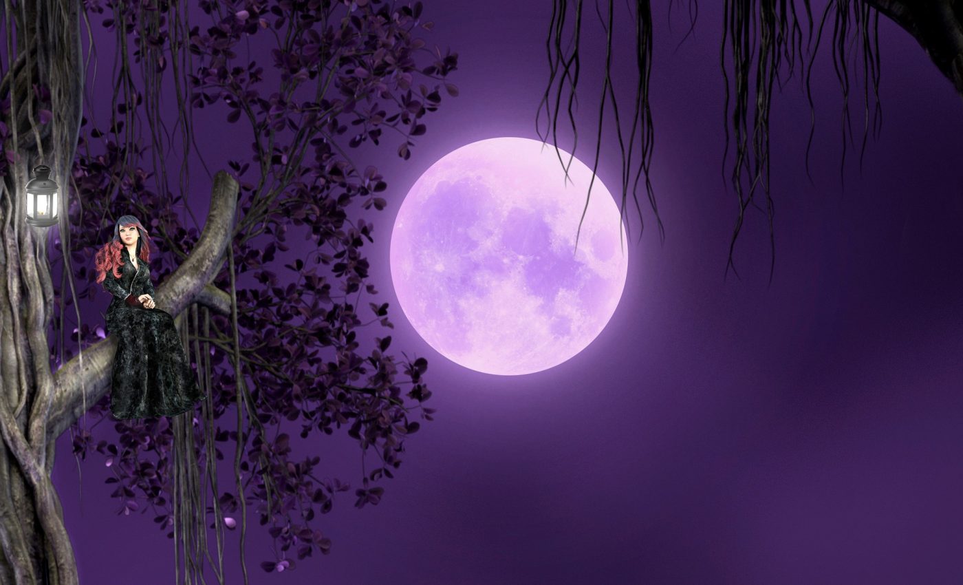 TAROT pentru Luna plina in Scorpion - sfatulparintilor.ro - pixabay_com - fairy-4870630_1920