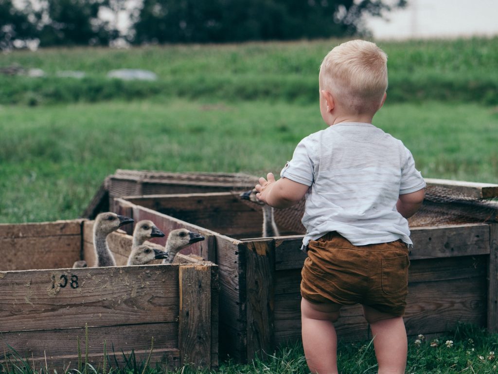 nume de baieti cu litera I - sfatulparintilor.ro - krzysztof-kowalik-soyXsS8FCpw-unsplash