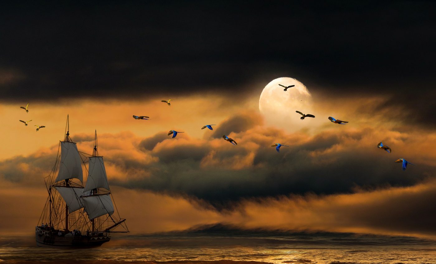 tarot luna plina in capricorn - sfatulparintilor.ro - pixabay_com - nature-4436704_1920