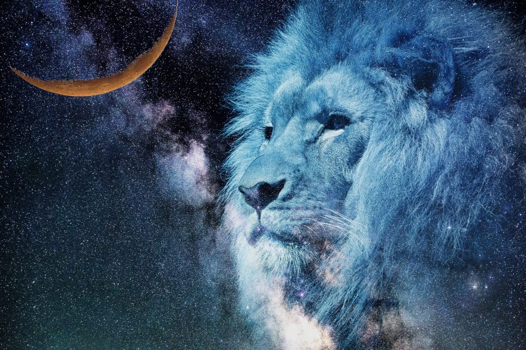 TAROT pentru Luna noua in Leu - sfatulparintilor.ro - pixabay-com - lion-2400168_1920