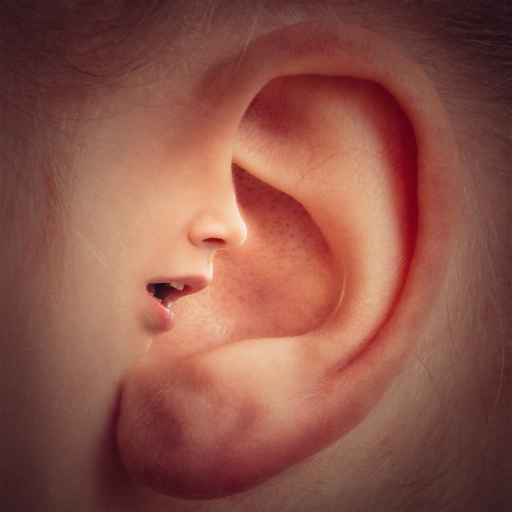 ce spune forma urechii despre tine - sfatulparintilor.ro - piqsels.com-id-jszna