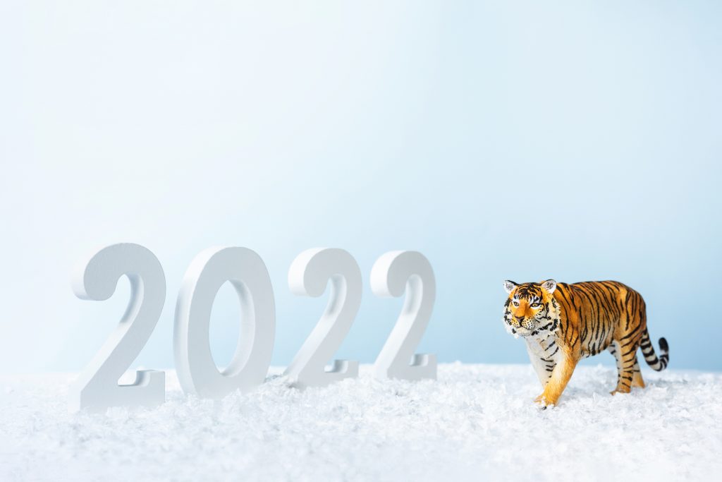 Zodiac CHINEZESC 2022