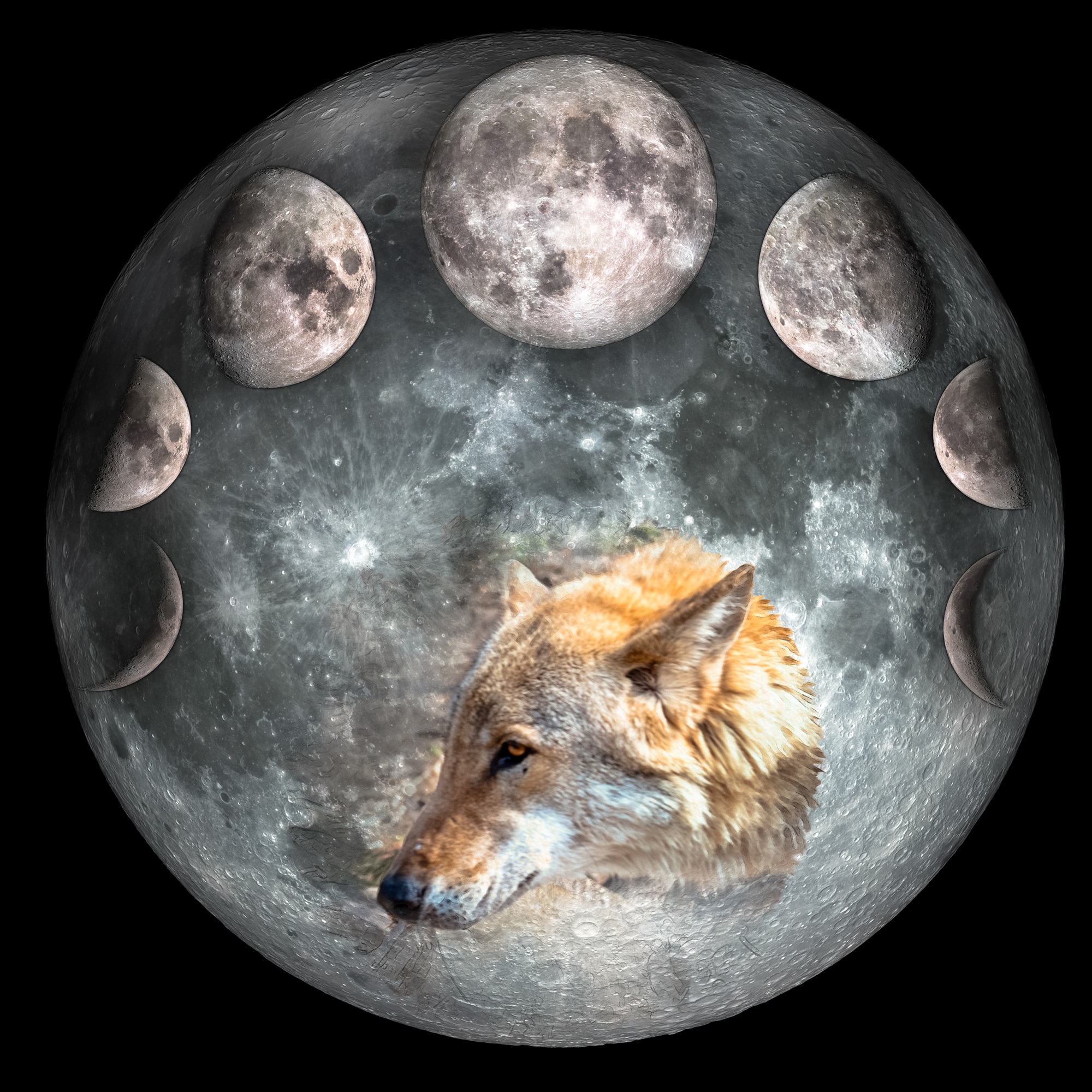 Cum afecteaza Luna plina a Lupului zodiile
