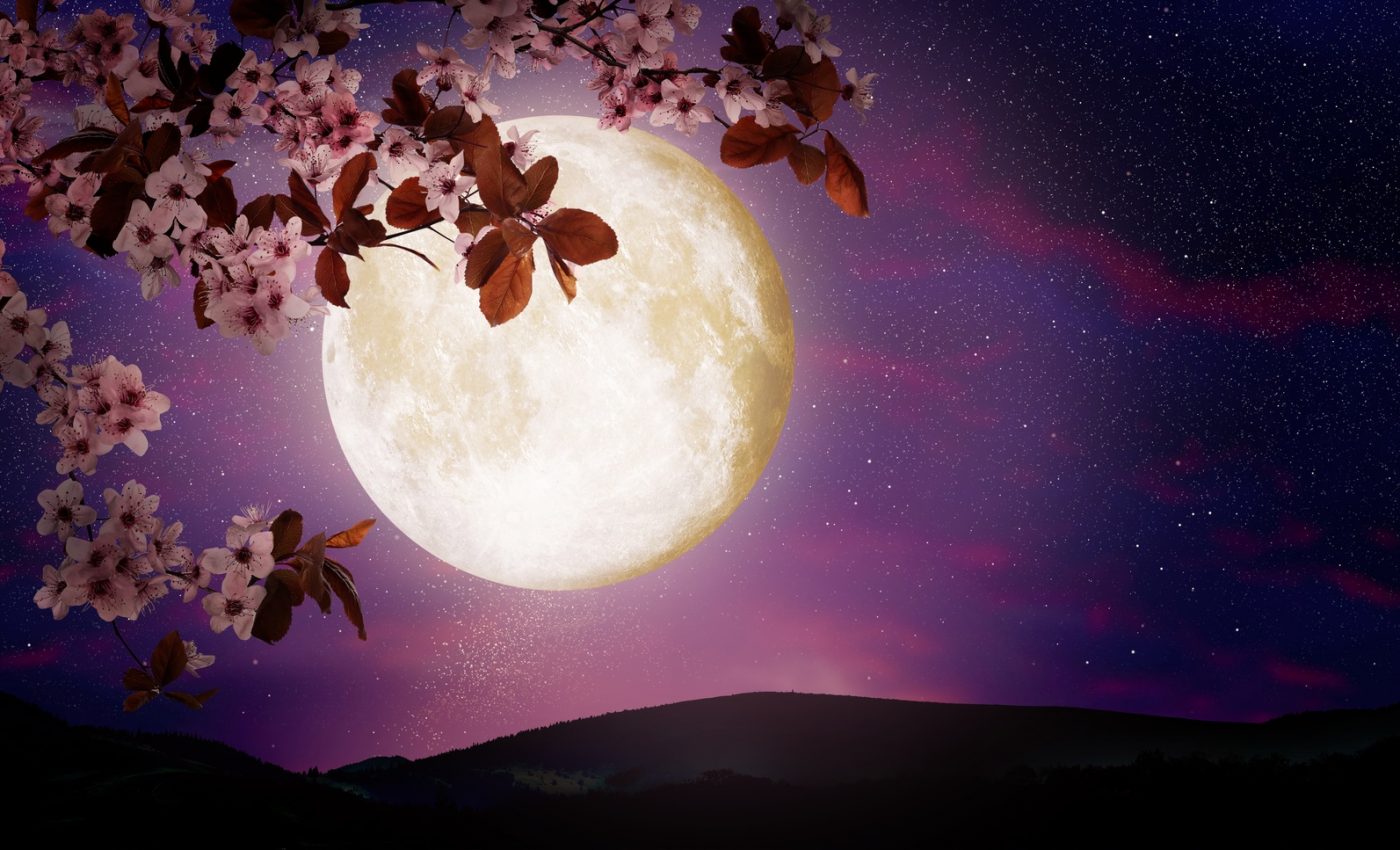 Horoscop special Luna plina roz in Balanta