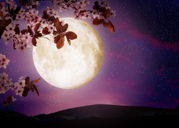 Horoscop special Luna plina roz in Balanta