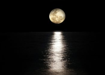 Luna plina capsunie
