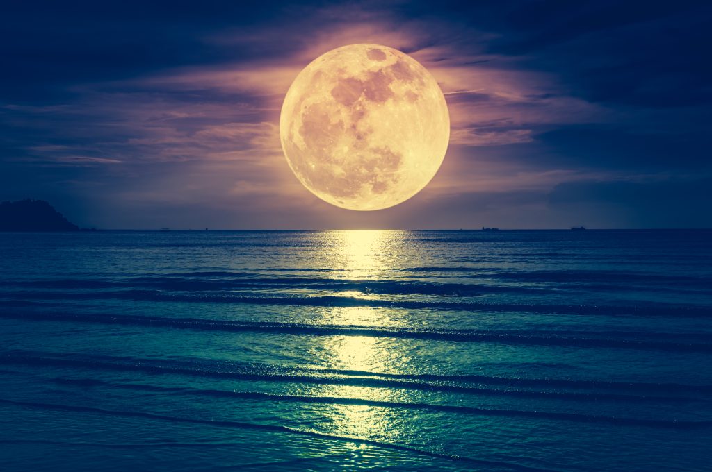https://ro.depositphotos.com/169614188/stock-photo-super-moon-colorful-sky-with.html