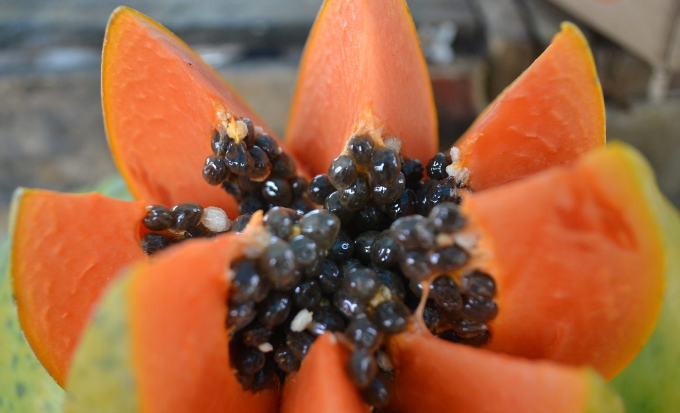 Ce beneficii are papaya - sfatulparintilor.ro - pixabay_com - papaya-966322_1920