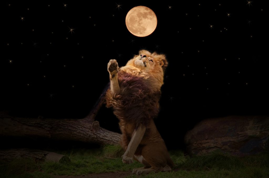 Ritual de Lună plină în Leu