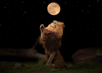 Ritual de Lună plină în Leu