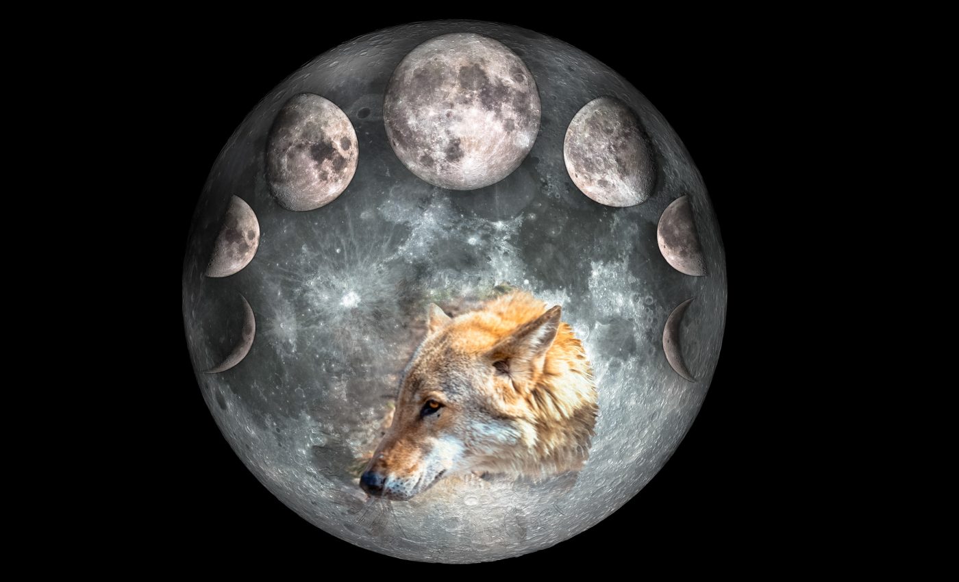 zodii respiră ușurate după Luna plină a Lupului