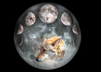 zodii respiră ușurate după Luna plină a Lupului