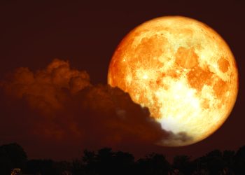 Luna Plină a viermelui în Balanță 25 martie 2024