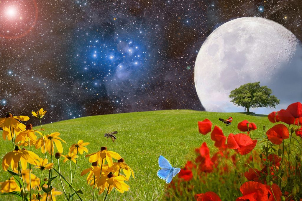 Luna Plină a Florilor în Săgetător 23 mai 2024