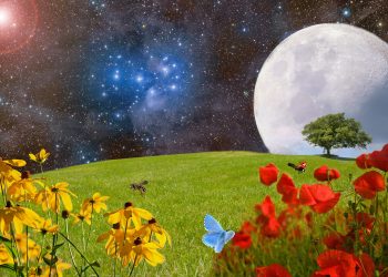 Luna Plină a Florilor în Săgetător 23 mai 2024