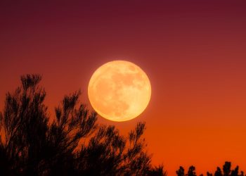 Prima Lună plină după solstițiul de vără – 21/22 iunie 2024