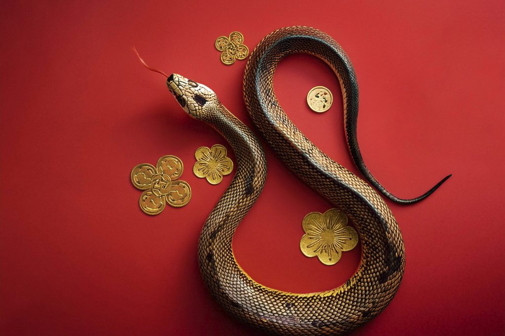 Ce sa mananci de anul nou chinezesc 2025