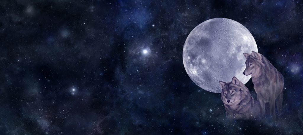 Horoscop special Luna Plină a Lupului din 13 ianuarie 2025