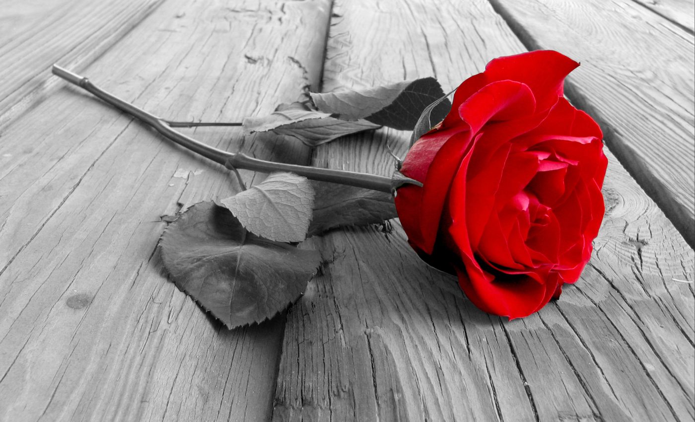 Relațiile se ÎMBUNĂTĂȚESC pentru 5 ZODII