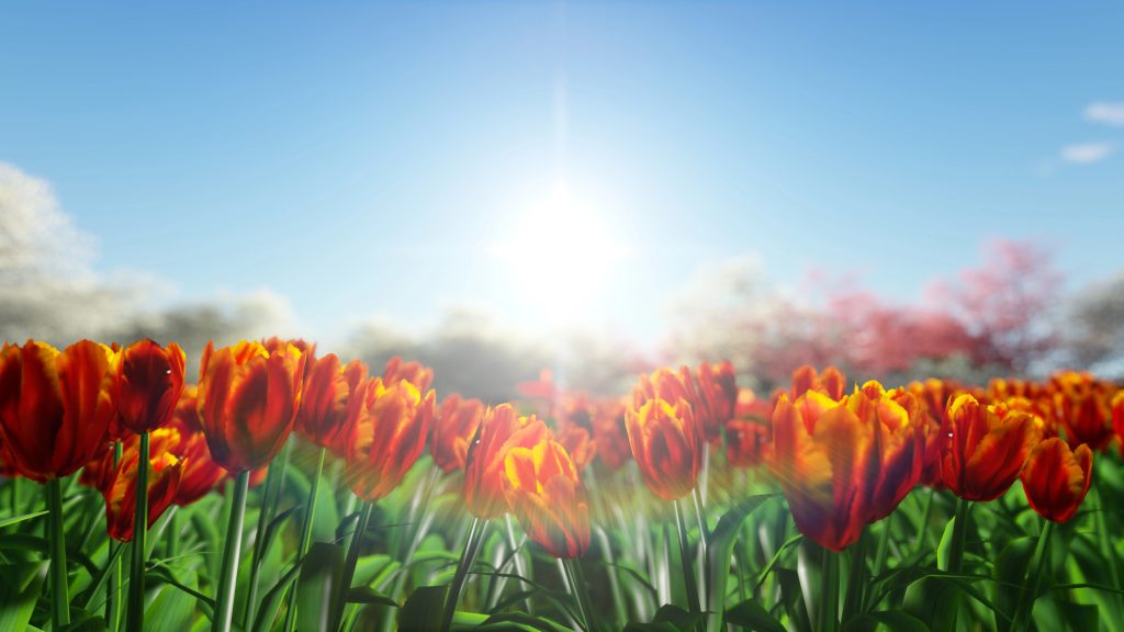 Horoscop luna MARTIE 2025