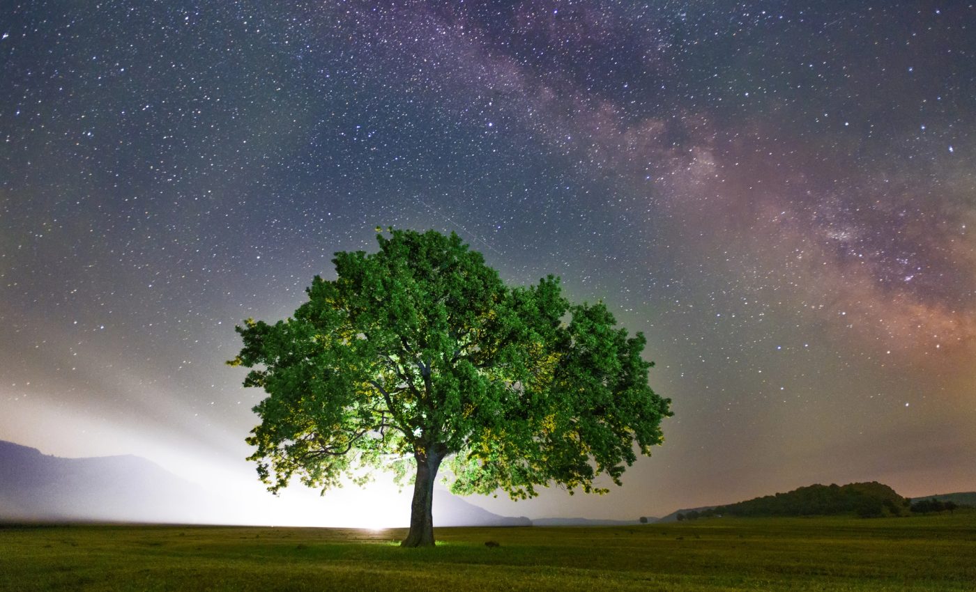 Cea mai NOROCOASĂ zi MARTIE