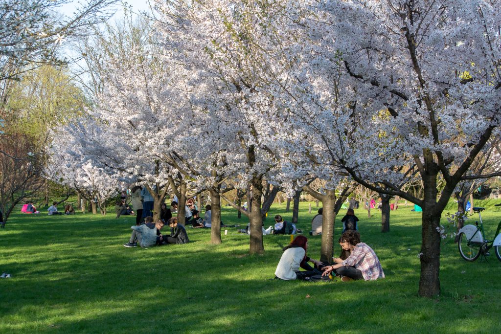Cum să combați astenia de primăvară