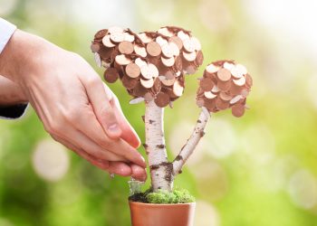 ZODII au SUCCES financiar