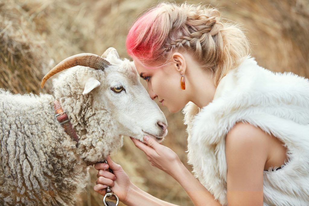 revenire VENUS în BERBEC