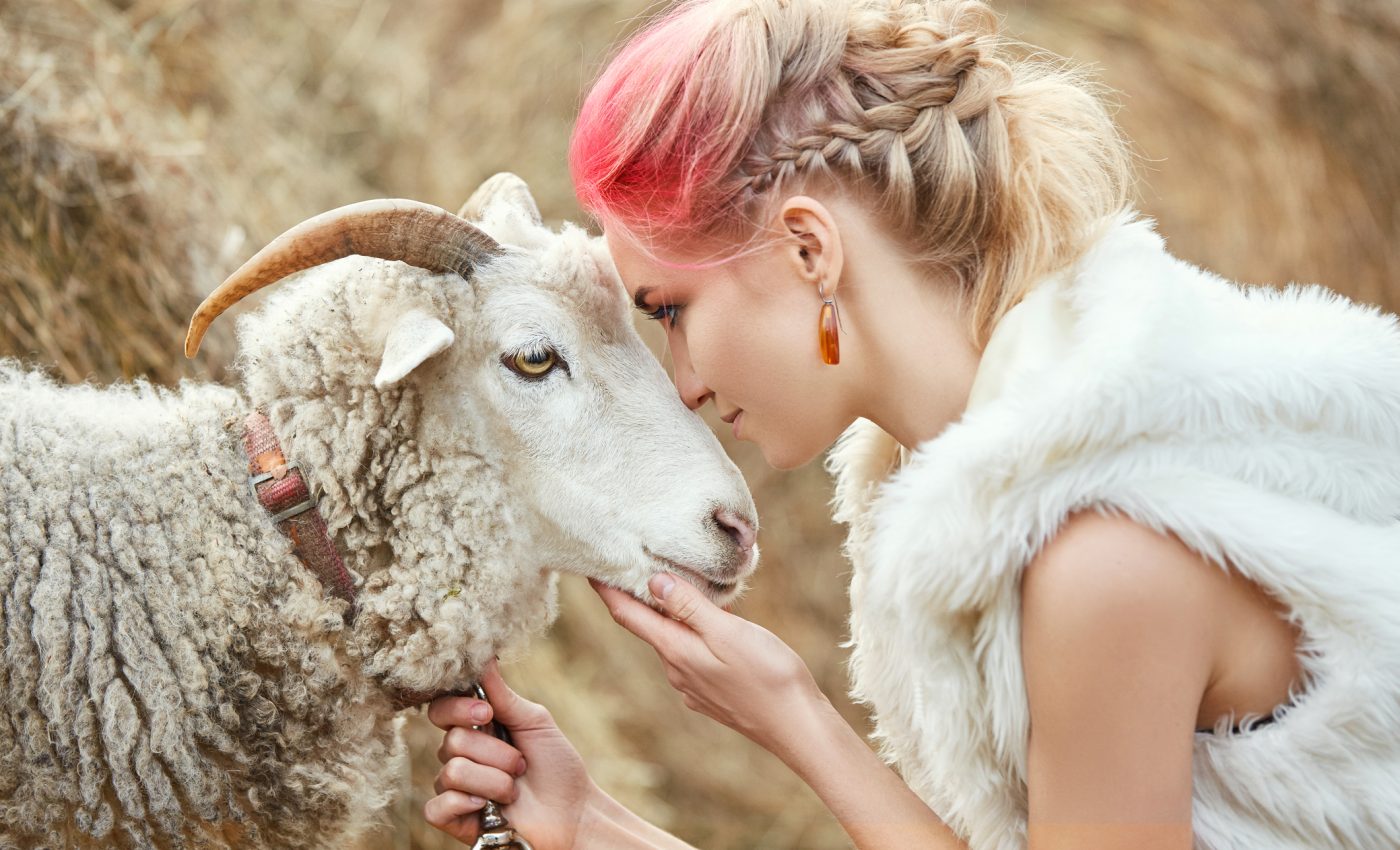 revenire VENUS în BERBEC