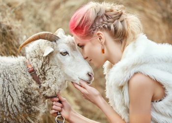 revenire VENUS în BERBEC