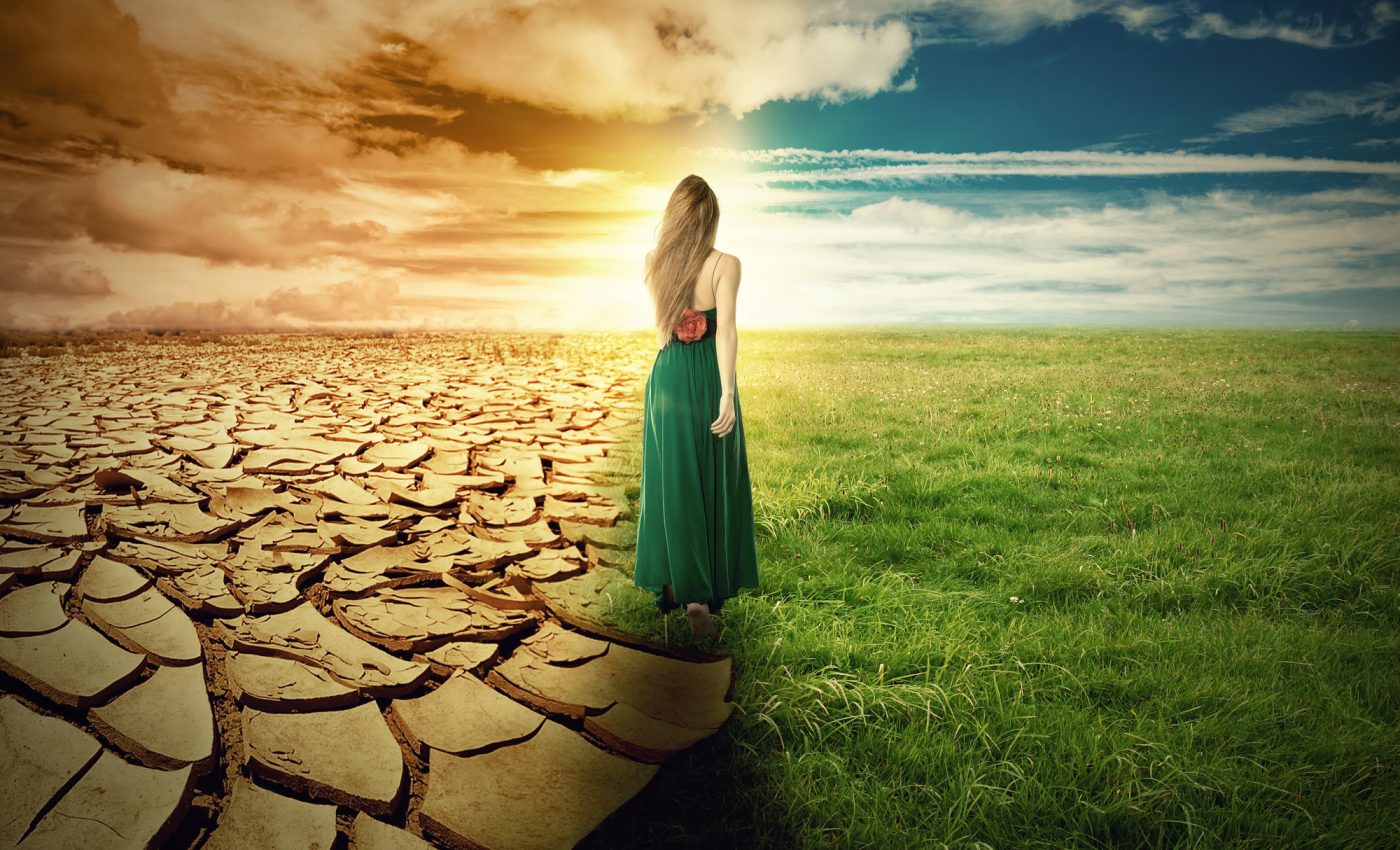 ZODII care se redescoperă pe sine