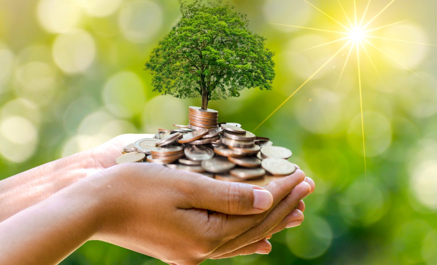 ZODII atrag ABUNDENȚA FINANCIARĂ