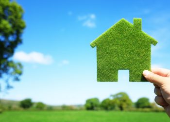 Adevărata semnificație a culorii verde