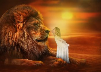 NOROCUL favorizează aceste 4 ZODII