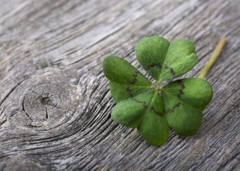 NOROCUL se schimbă pentru 3 ZODII