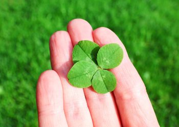 NOROCUL sosește pentru 3 ZODII