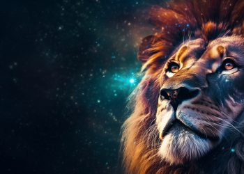Sezonul LEULUI începe în forță din 22 iulie 2025