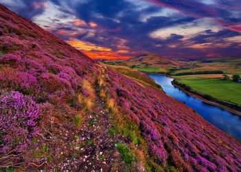 Evenimente astrologice august 2025. Portaluri energetice, eclipse și conjuncții rare. Ce ne aduce începutul unui nou ciclu astrologic