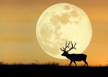 Horoscop special Luna Plină în Capricorn