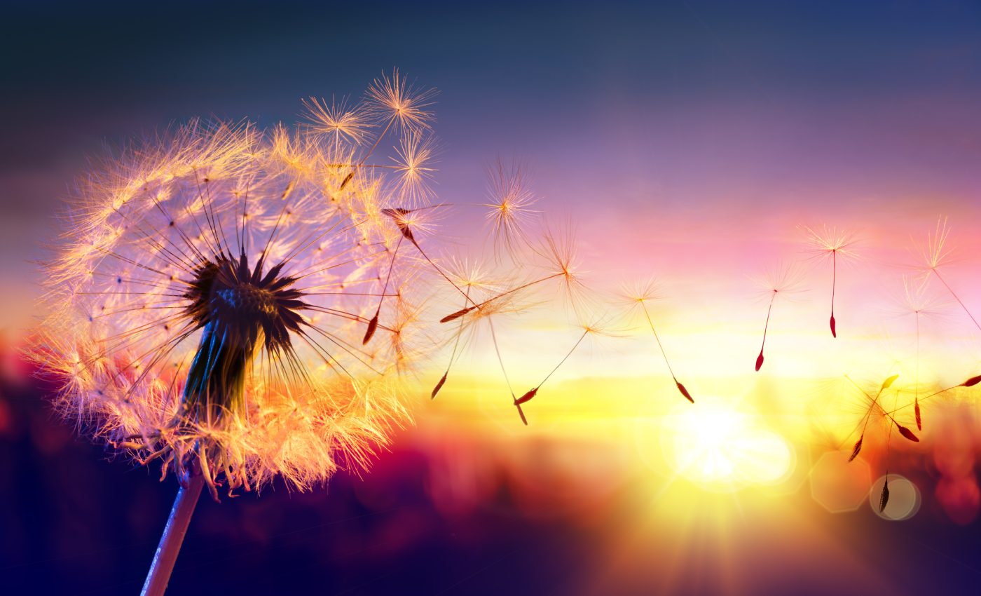 Zodiile care își pot schimba viața