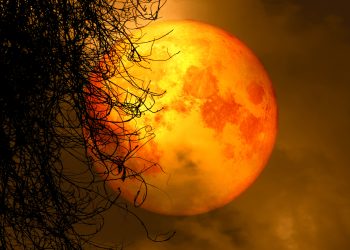 Eclipsa TOTALĂ de Lună în 7 septembrie 2025