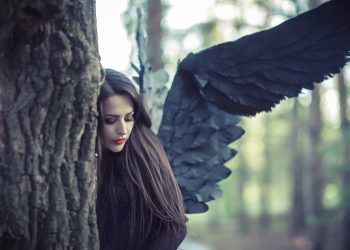 ÎNGERI cu o singură aripa