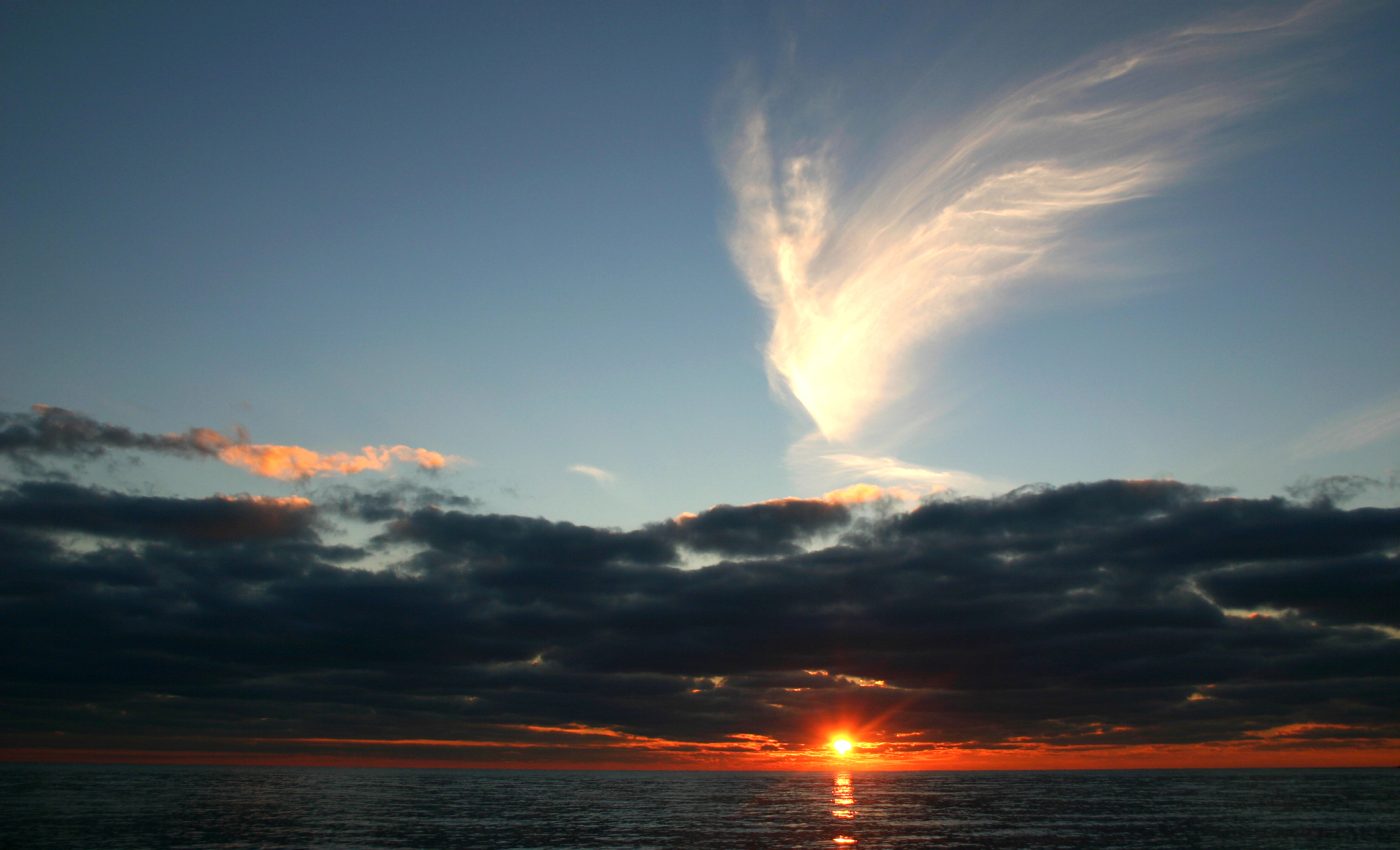 ZODII mesaje de la ÎNGERII PĂZITORI - sfatulparintilor.ro - dreamstime_m_13744782